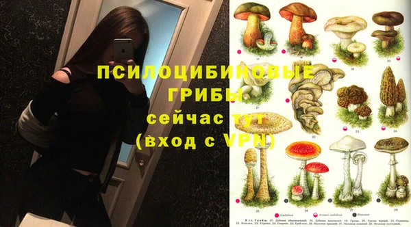 apvp Верея