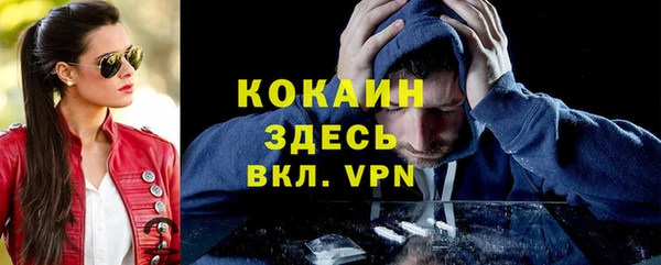 apvp Верея