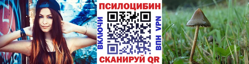 blacksprut зеркало  цены наркотик  Хабаровск  darknet какой сайт  Псилоцибиновые грибы ЛСД 